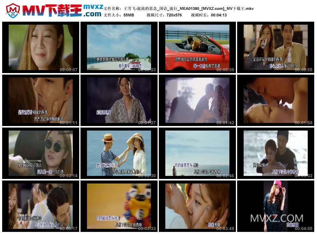 王雪飞-流浪的思念_国语_流行_MEA01380